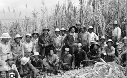 The Sakadas: How Filipino Farmworkers Built Hawaii — and Fought to Be Free