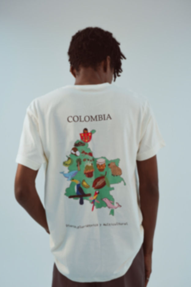 Camiseta