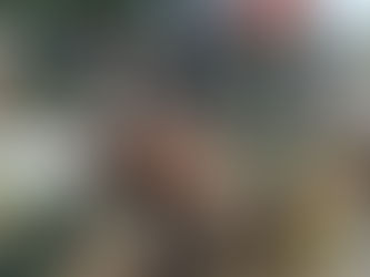 Satgas Pamtas Kewilayahan RI-PNG Yonif 410/Alugoro Bersama Masyarakat Perbaiki Jalan yang Rusak