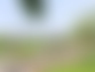 Di Duga Rencana Dapur MBG Di Bangun Diatas Lahan Yang Masih Sengketa Dan Tampa Melalui Proses izin. Dijalan Herstasning Makassar