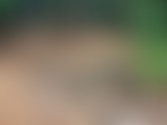 TEMUAN WABUP DAN KAPOLRES GOWA SOAL PERAMBAHAN HUTAN LINDUNG BELUM MENYENTUH TITIK PALING PARAH