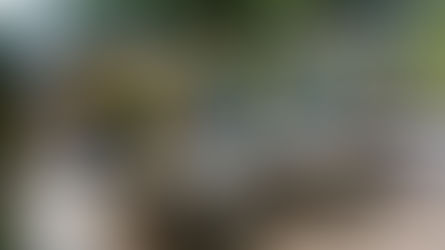 MENANTI AIR DI TENGAH BADAI KEGELISAHAN – PEGAWAI PENGAIRAN POMPENGAN JENEBERANG BERKUMPUL