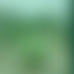 "Pohon Pisang Bersemi di Jalanan," Warga Berutallasa Gowa Tagih Janji Manis Politik yang Berubah Pahit!