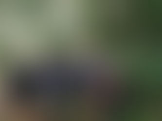 Ketua DPD Sulsel Aliansi Indonesia (BPAN) Soroti Ketua Adat Puto Palasa, Ingin Ambil Alih Sepihak Lahan Masyarakat Adat Yang Di kuasai Sejak 1973.