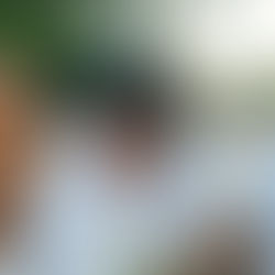 Kemenag Sulsel Menggema dari Bone: HAB Jadi Panggung Persatuan 22 Kabupaten, Publik Terpukau