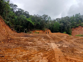 PERAMBAHAN HUTAN TERJADI DI GOWA, TAKALAR, DAN JENEPONTO — DIDUGA ADA KONSPIRASI OKNUM APARAT KEHUTANAN.