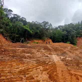 PERAMBAHAN HUTAN TERJADI DI GOWA, TAKALAR, DAN JENEPONTO — DIDUGA ADA KONSPIRASI OKNUM APARAT KEHUTANAN.