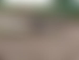 Swadaya Tanpa Banyak Sorotan, Petani Lanra-Lanra Sulap Lahan Kering Jadi Sawah Produktif