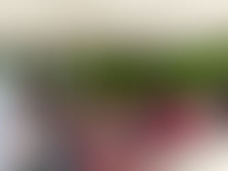 Tim Inspektorat Turun Gunung! Dugaan Penyelewengan Dana Desa Bontomatene Disorot Tajam