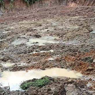 Pengawas Dan Dinas Pertanian Tidak Tahu Data Terkait Proyek Kegiatan Bantuan Cetak Sawah Rakyat (CSR) Di Kab.Mamasa Ada Apa ???
