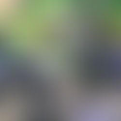 MTs PAITANA JENEPONTO SALAH SATU SEKOLAH TERTUA YANG TERUS CETAK GENERASI UNGGULAN