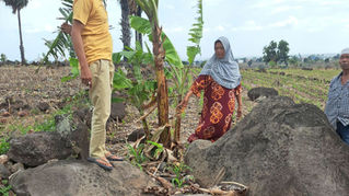 Ketua DPD II Jeneponto LSM Gempa Indonesia Soroti Oknum Polisi Yang  Di Duga Memerintahkan Rusak Tanaman Kacang Hijau Milik Warga