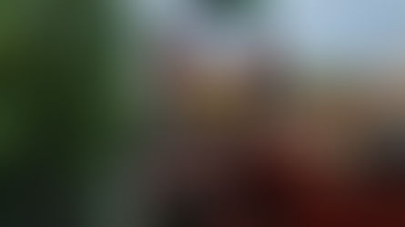 HMI Bulukumba Tagih Janji Kejari: Desak Transparansi dan Penetapan Tersangka Kasus Dugaan Korupsi Pasar Sentral Rp59 Miliar