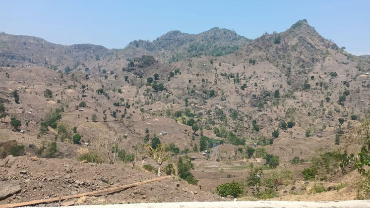 Dugaan Pembabatan Hutan Lindung Borong Mampua Resmi Dilaporkan, Lsm Gempa Desak APH Usut Dan Tindak Para Pelaku