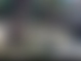 Kapolsek Kelara Mendatangi TKP Pohon Tumbang Di Kelurahan Tolo Utara,Tidak ada Korban Jiwa