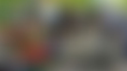 Warga Geger Pembunuhan Sadis di Pannyangkalang, Korban Dihabisi Saat Berjualan Ikan Keliling