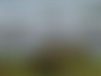 Pasar Rakyat Sapaya Milyaran Rupiah, Tapi Kini Sunyi: Proyek 2021 Ini Benarkah Tak Bernyawa?