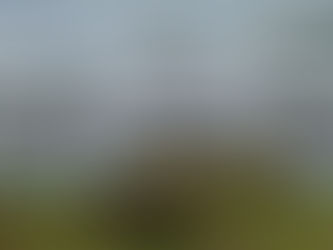 Pasar Rakyat Sapaya Milyaran Rupiah, Tapi Kini Sunyi: Proyek 2021 Ini Benarkah Tak Bernyawa?