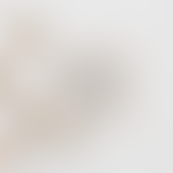 The Ruin. The Repair. The Recovery.