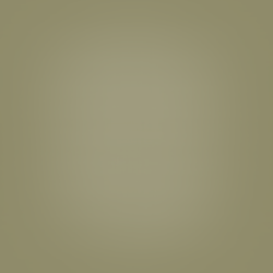 Lead Me in the Light