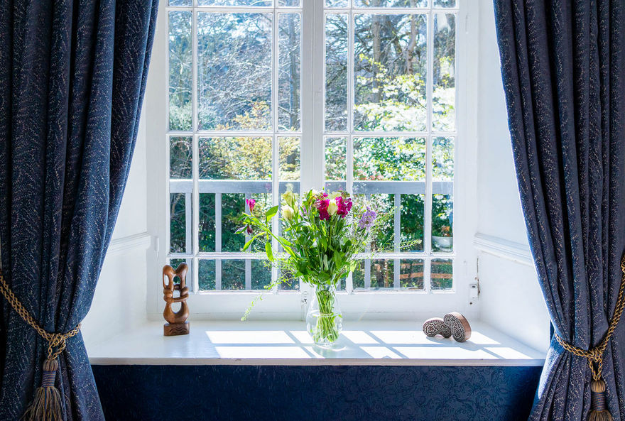 Flowers in the sun drenched period window.