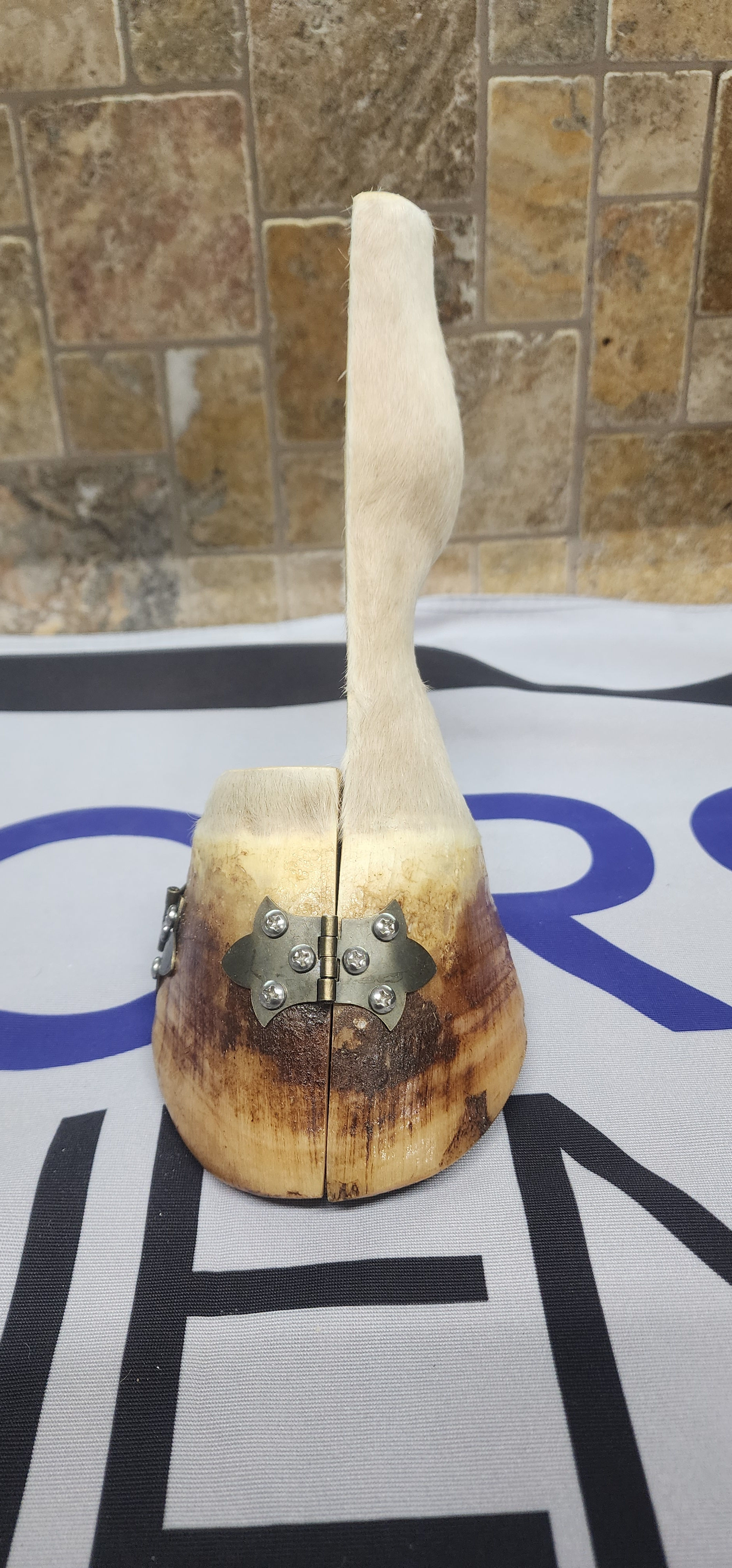 Double hinged lower limb