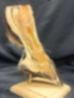 Thumbnail: Desktop sagittal with navicular changes 