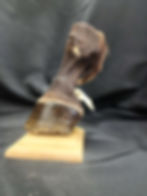 Thumbnail: Desktop sagittal with navicular changes 