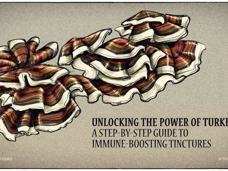 Unlocking the Power of Turkey Tail Mushroom: A Step-by-Step Guide to Immune-Boosting Tinctures.