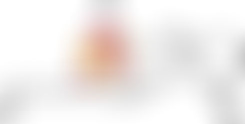 A Biomechanical Analysis of Rowing