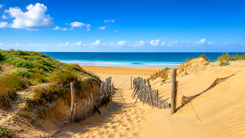Beach Holidays France Vendee Beach 4.PNG