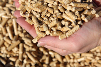 Pellets2.jpg