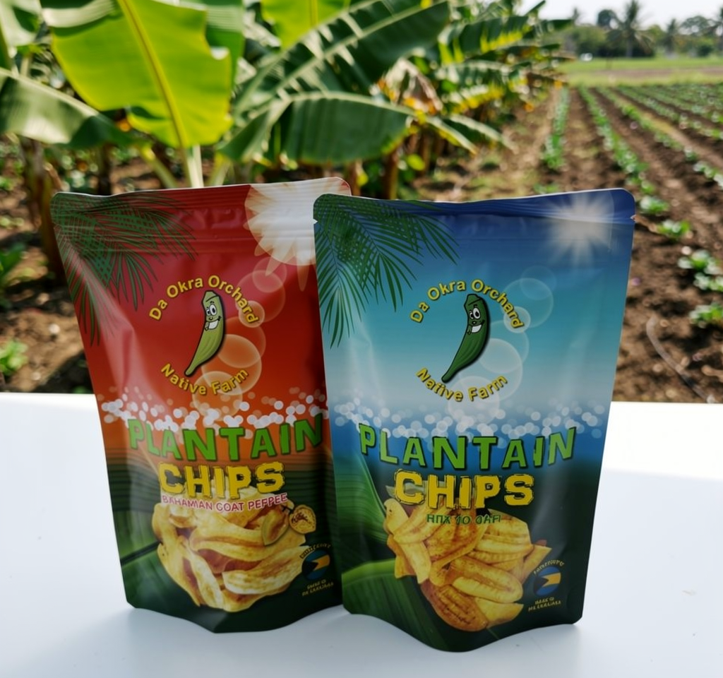 Sea Salt Plantain Chip