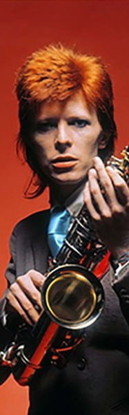 Bowie 1.jpg
