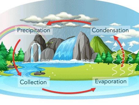 Exploring the Water Cycle: What is it?