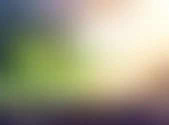 Exploring the Process of Photosynthesis