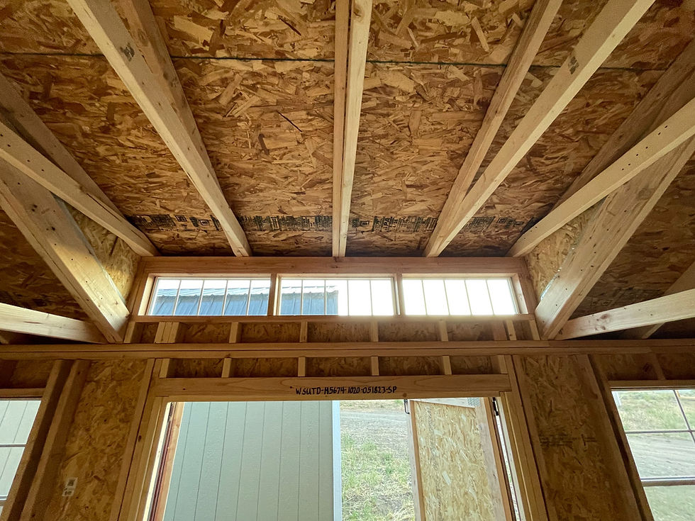 Thumbnail: 10x20 Utility Dormer Package Side Door 