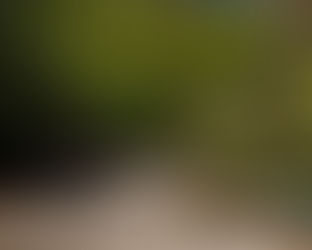 Нельзя сеять панику и отчаяние среди собственного народа, угрожать войной. Татоян