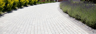A sweeping, light grey brick-paved driveway or path bordered by green shrubs and purple lavender plants