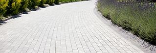 A curving paved walkway flanked by lush greenery and lavender plants