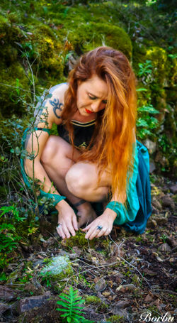 BOSQUE