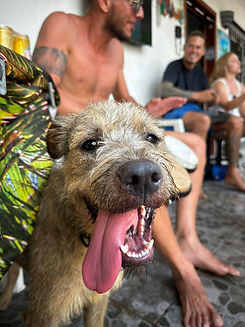 PHOTO-2025-06-26-21-03-46 2.jpg