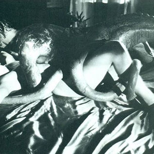 Incubi e succubi - le radici del mito. L'autoerotismo compulsivo.