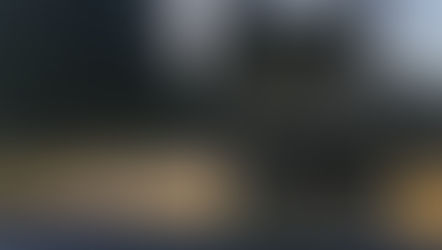 Shadow people in grigio- La massa umanoide passeggia con il ragazzo.