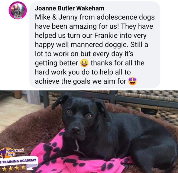 Untitled design - 2021-01-04T204614.409.png