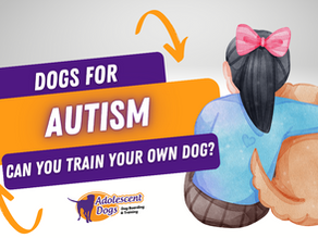 Dogs for Autism; can you train your own assistance dog?