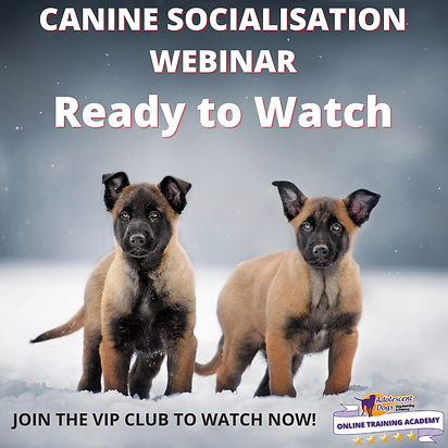 SOCIALISATION WEBINAR LIVE NOW (2).png