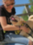 Residential Dog Training