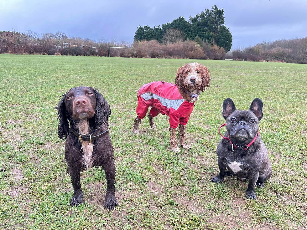 476116020_10235325137059448_8394794437212529508_n