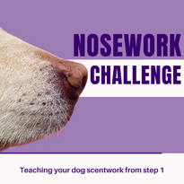 Nosework challenge